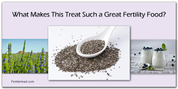 Chia Seeds: Part of Fertility Friendly Diet