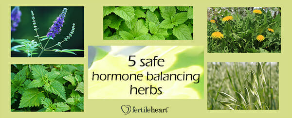 Fertility Herbs - 5 Hormone Balancing Herbs