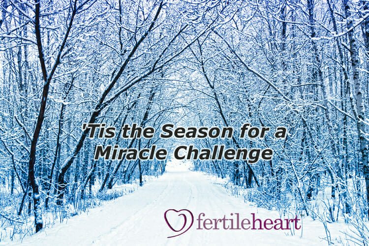 Winter Snow Fertile Heart Miracle Challenge