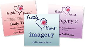 The Fertile Heart Toolkit 