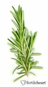 cooking-with- fertility herbs-rosemary