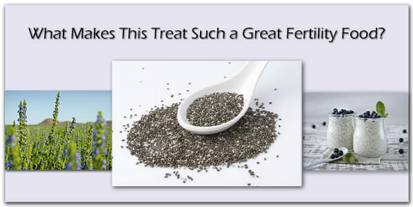 Chia Seeds a great Fertility Food to help Overcome Infertility and Low AMH