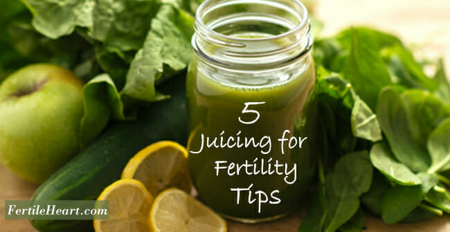 Fertility Juice Ingredients; Fertility Foods: 5 Juicing for Fertility Tips