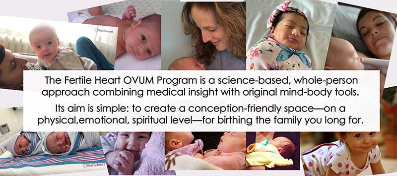 Fertile Heart Approach Fertile Heart Babies After Miscarriages These Fertile Heart babies were conceived after recurrent miscarriages. The Fertile Heart OVUM Program is a science-based, whole-person approach.