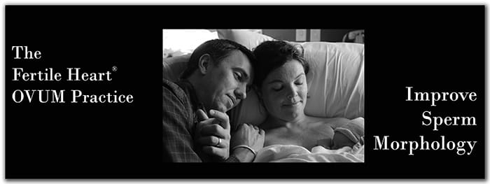 Fertile Heart couple with newborn - improve sperm morphology