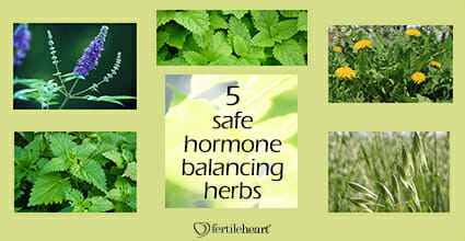 Fertility Herbs - 5 Hormone Balancing Herbs - Juicing for Fertility