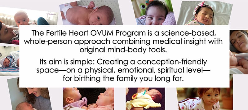Fertile Heart Approach Fertile Heart Babies After Miscarriages These Fertile Heart babies were conceived after recurrent miscarriages. The Fertile Heart OVUM Program is a science-based, whole-person approach.