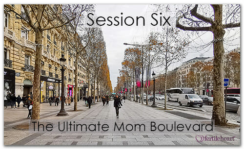 Paris Boulevard Meeting Your Child Halfway Video Series Session 6 Ultimate mom