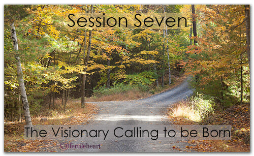Country Road Fall Foliage Meeting Your Child Halfway Video Series Session 7 Visionary