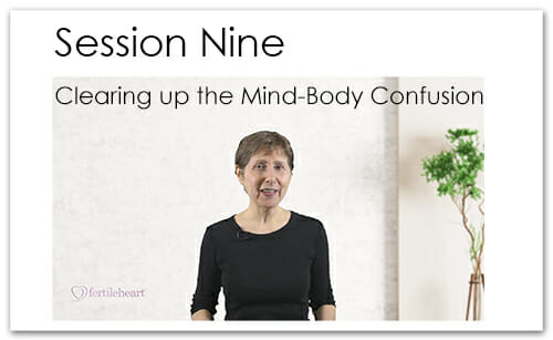 Julia Indichova Meeting Your Child Halfway Video Series Session 9 Mind-Body Confusion