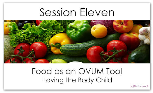 Assorted Fruit and Vegetables Meeting Your Child Halfway Video Series Session 11 Food