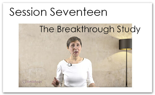 Julia Indichova Meeting Your Child Halfway Video Series Session 17 Breakthrough Study