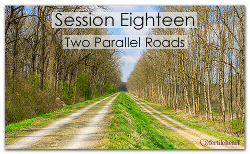 2 Country Roads Meeting Your Child Halfway Video Series Session 18 Two Parallel Roads