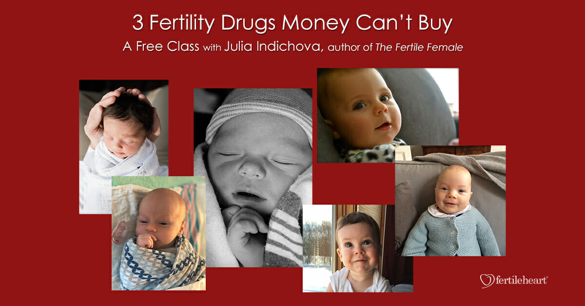 6 Fertile Heart Babies - 3 Fertility Drugs Money Can't Buy
