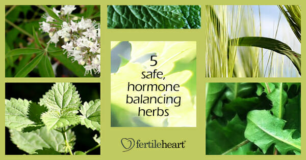 Fertility Herbs - 5 Safe Hormone Balancing Herbs