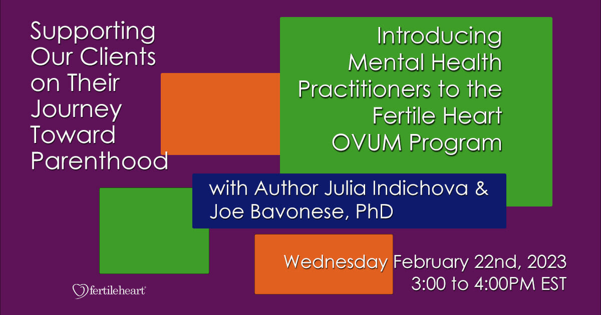Colored Boxes Workshop for mental health practitioners