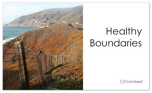 FacilitatorsVideo.Boundries Fence on Cliffs overlooking Ocean; Healthy Boundaries