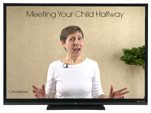 Meeting Your Child Halfway Video Series with Julia Indichova