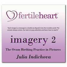 Imagery 2 CD with Julia Indichova