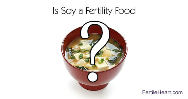 Bowl of Miso Soup with Tofu, Is Soy a Fertility Food?