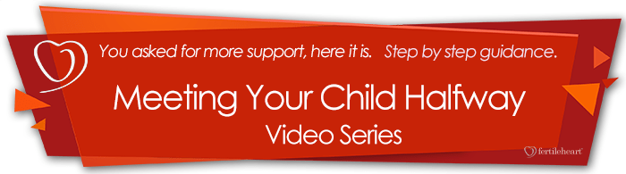 Meeting Your Child Halfway Video Series