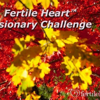 Fertile Heart Overcoming Infertility