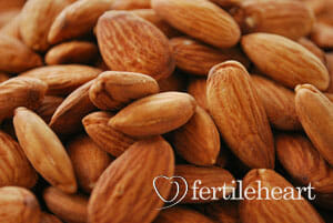 estrogen-increase-almonds