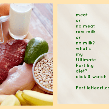 Increase Fertility with fertility foods