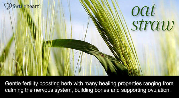 Fertility Herbs - Oat Straw Hormone Balancing Herb