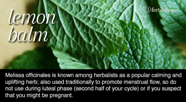 Fertility Herbs - Lemon Balm Hormone Balancing Herb